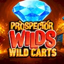 Prospector Wilds